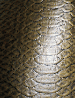 Struktur Latex Snake Gold